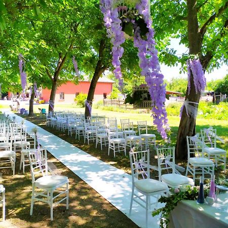 Agriturismo Corte Dei Landi Cade Ngoại thất bức ảnh